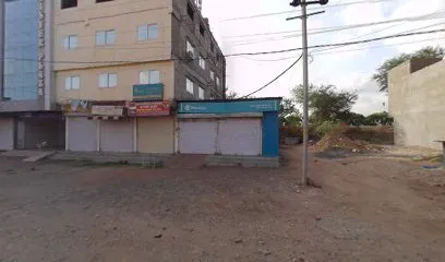 Lion Motors-Bajaj