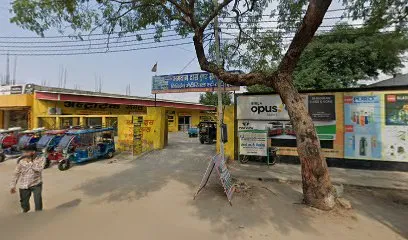 Mantri Car Shringar