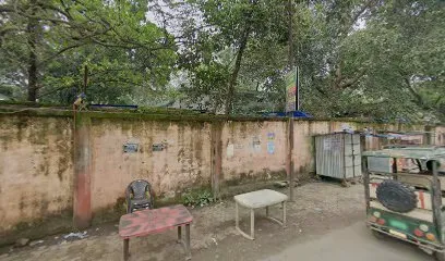 Mitesh Auto