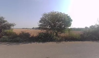 Momai tractor