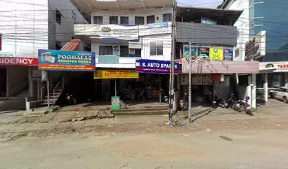 M.S. AUTO SPARES