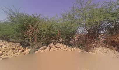 Narayan Mal Barmer
