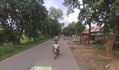 Palak automobile shop