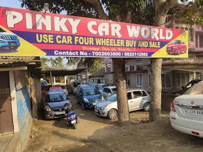Pinky Car World