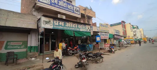 Prem Auto Store