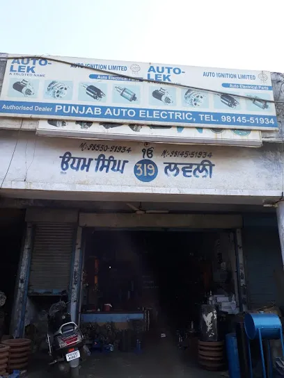 punjab auto electric