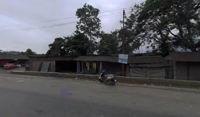 R I Motors