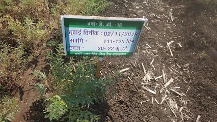 रामपाल कुशवाह ऑटो पार्टस एवं सर्विस सेन्टर