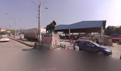 SA Automobiles