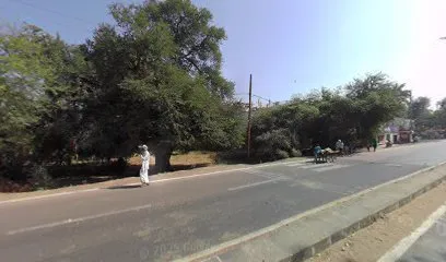 Satakshi Car Decor