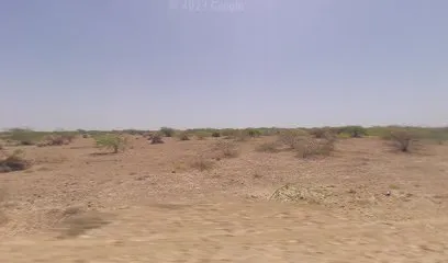 SHEERI KALKA MATA PLASTIC