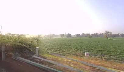 Shital Auto