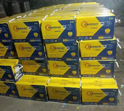 Shivmani Electronics EASTMAN BATTERY