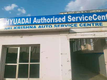 Shree Krishna auto sarvice centar Hyundai