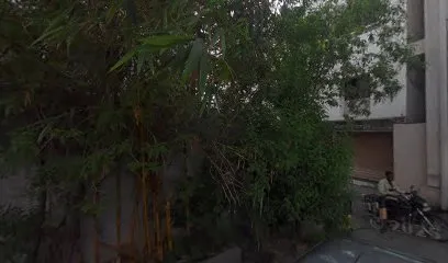 Shrinath Mashnari