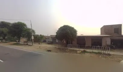 Sidhu Auto Store