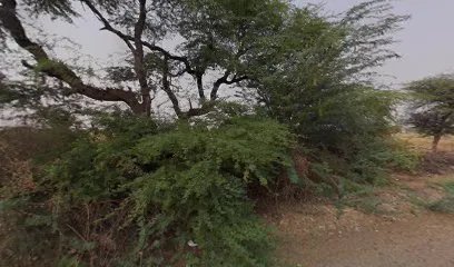 Skipper limited kurla,barmer