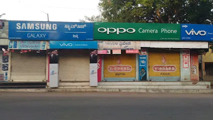 Triveni Electronics