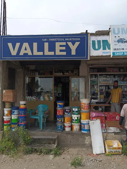 Valley Motor
