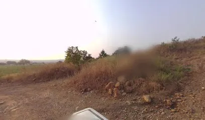 Vruttik kalokar