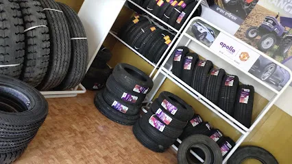 Apollo Tyre - Ashoka Tyre