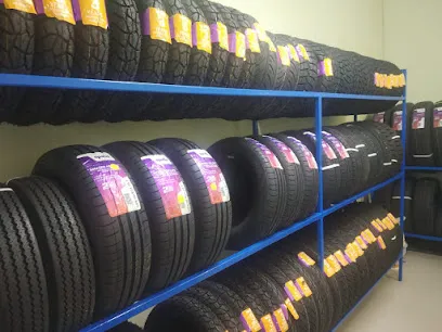 APOLLO TYRES BODI