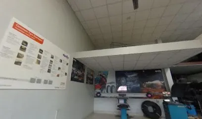 Apollo Tyres - Pl Motors