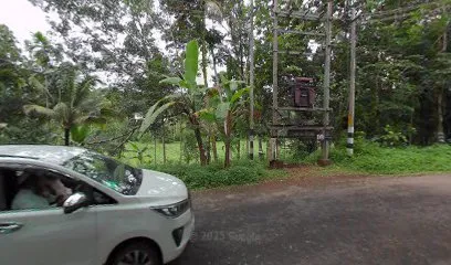 ASAPH MOBILE PUNCTURE