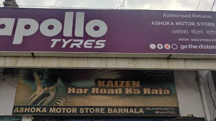 Ashoka motor store
