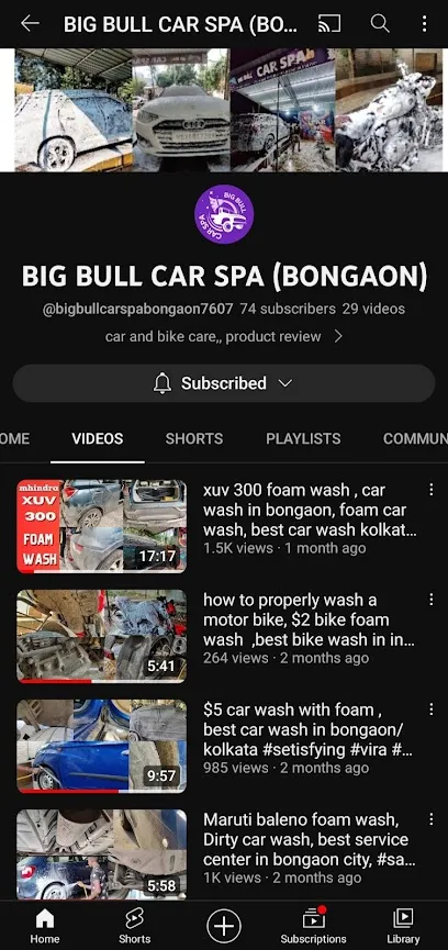 BIG BULL CAR SPA