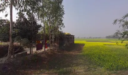 Bilal