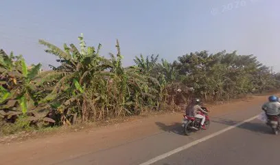 Bridgestone Select New Indian Tyres