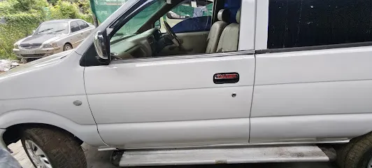 Car door step service