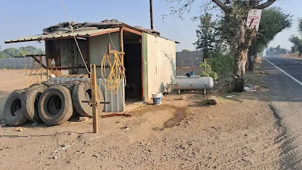 Graduate Tyre Wala Branch 3