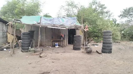 Joya Tyre