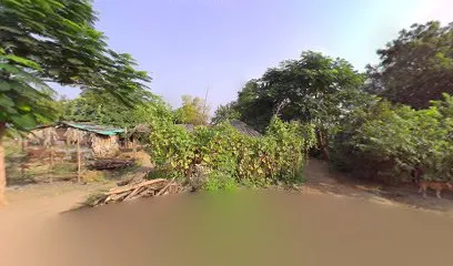 Kasinagar