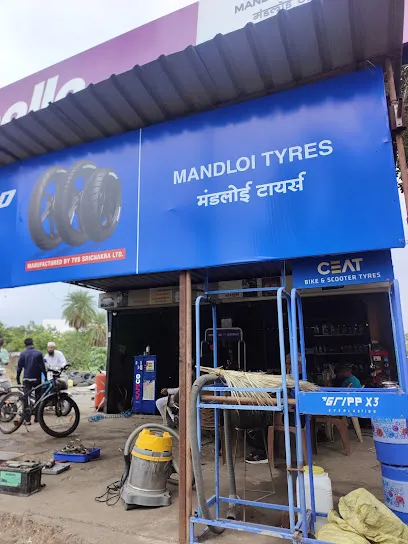 Mandloi Tyers