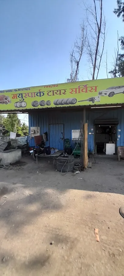 Mayur Tyre service