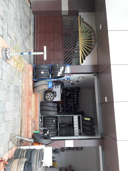 NAPOKLU SHAAZ TYRES
