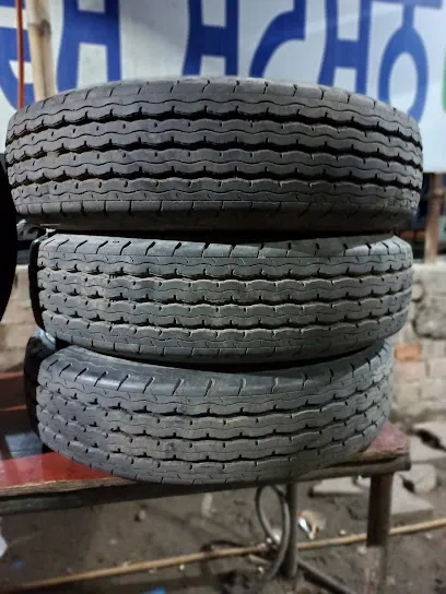 Pataila Tyre tree.ਪਟਿਆਲਾ ਟਾਯਰ