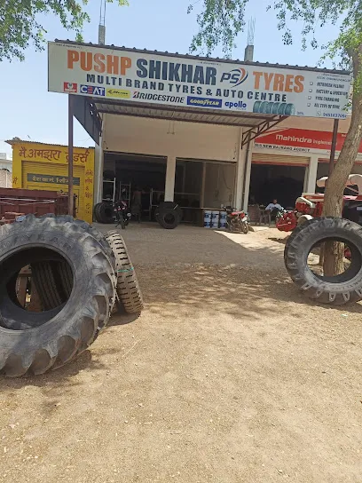 PUSHP SHIKHER TYRES & WHEEL CARE