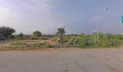 Sajid tayr riperig sop