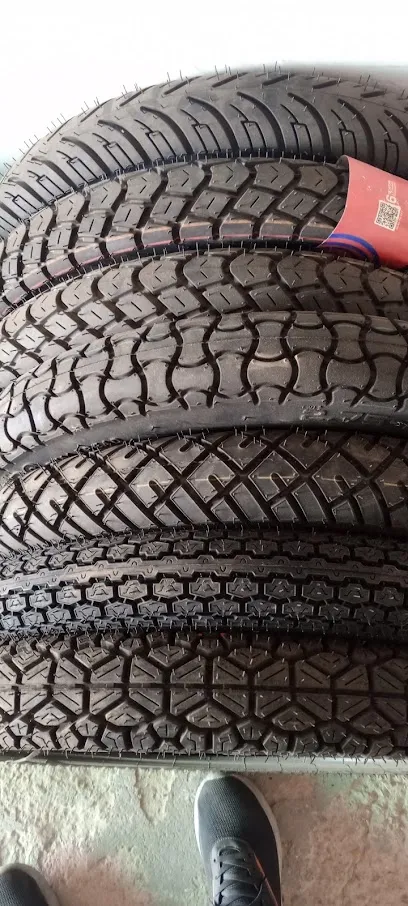 Shree Balaji tyre,s budsu