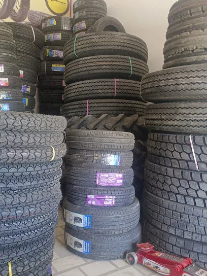 Shree Ganesh tyres