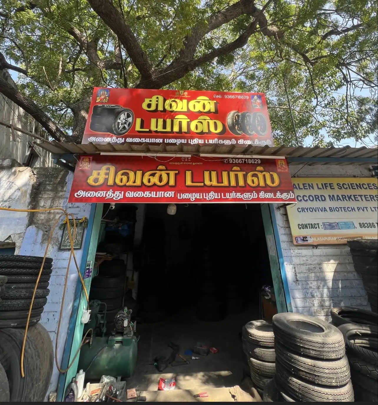 Sivan tyres