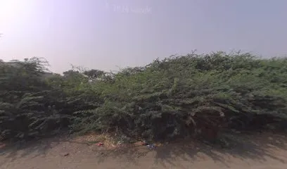 SP Tyres