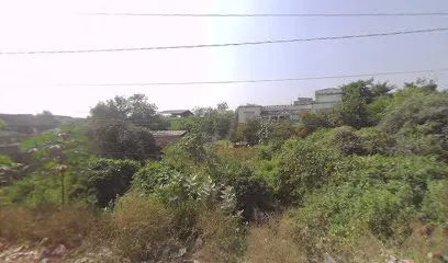 Sujan