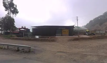SUNNY AUTO ZONE
