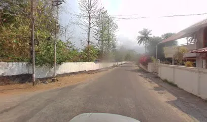 Sunshine Tyres