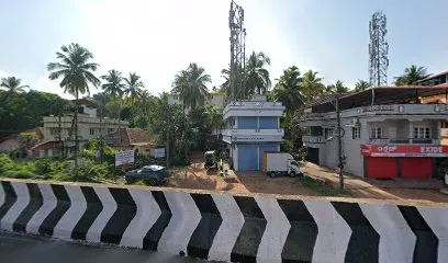 TARAANA enterprises (mangalore branch)